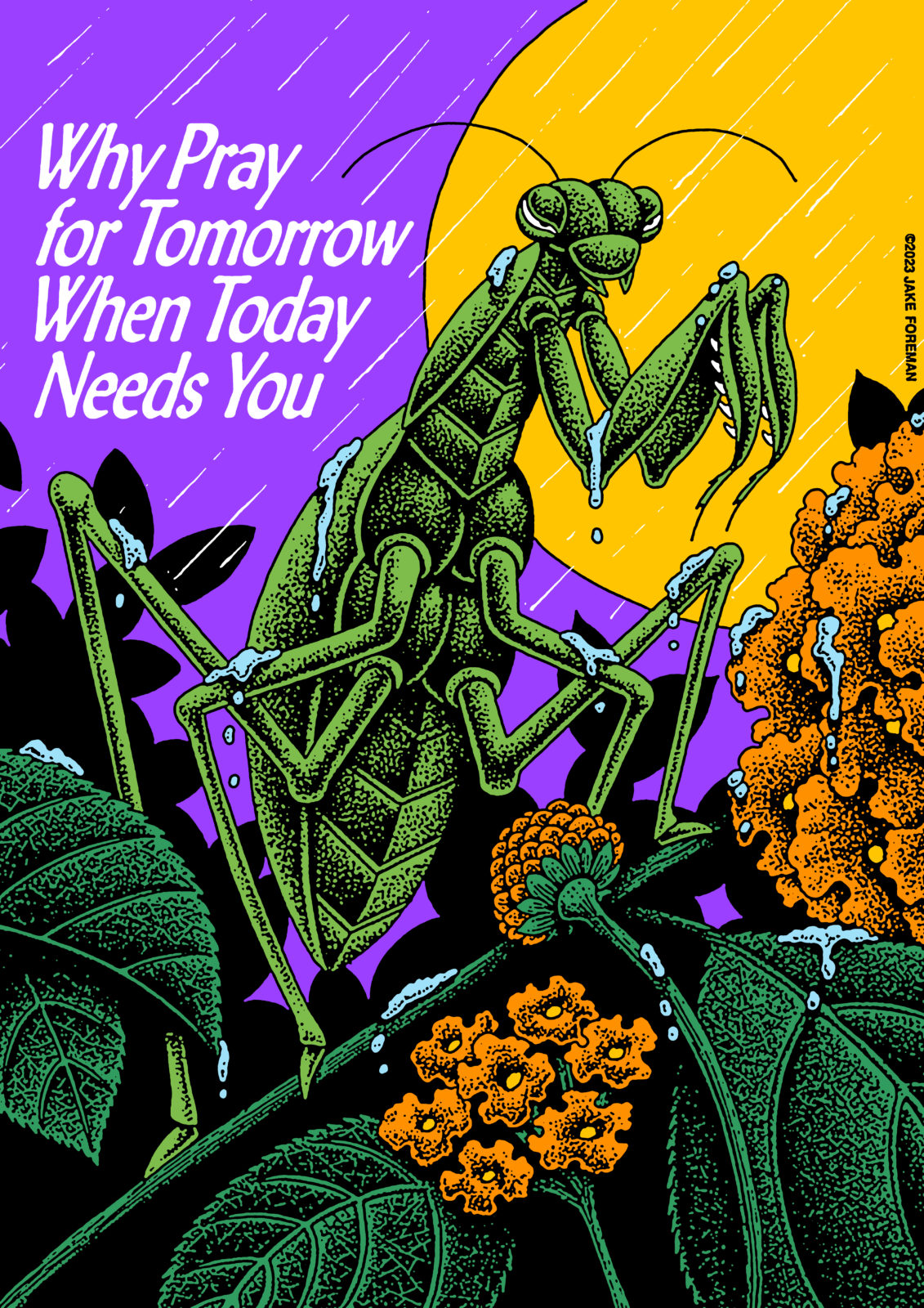 Pray by Jake Foreman - Kiblind magazine thème insectes